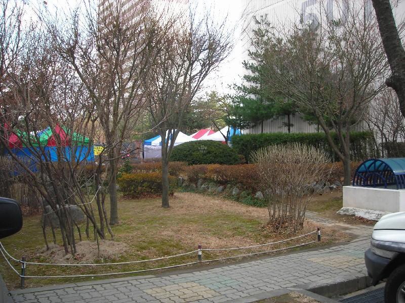 DSCN5485