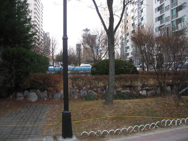 DSCN5486