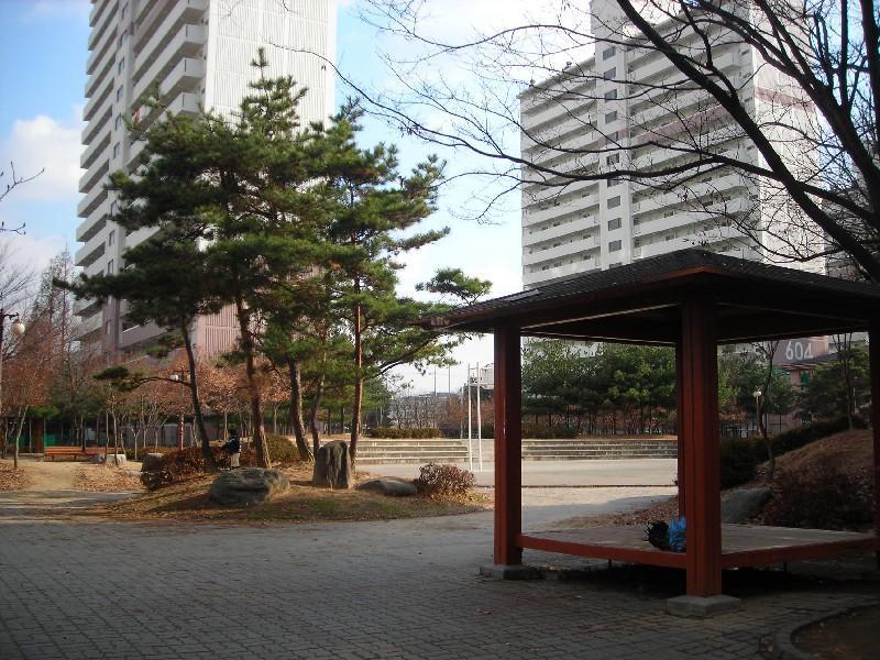 DSCN5487