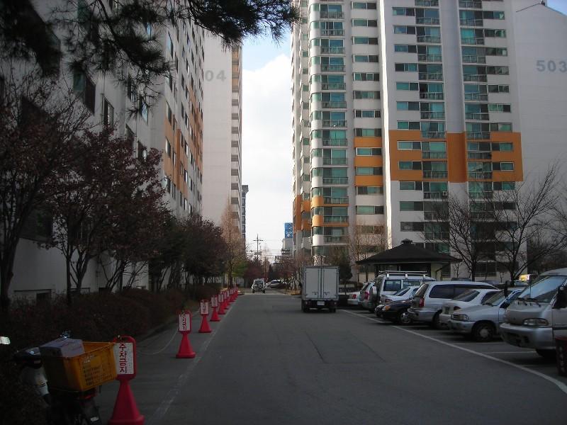 DSCN5479