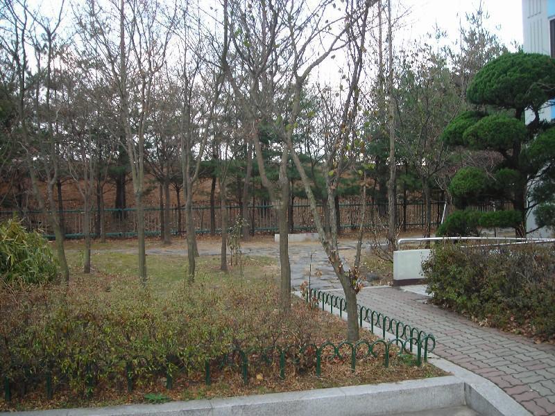 DSCN5469