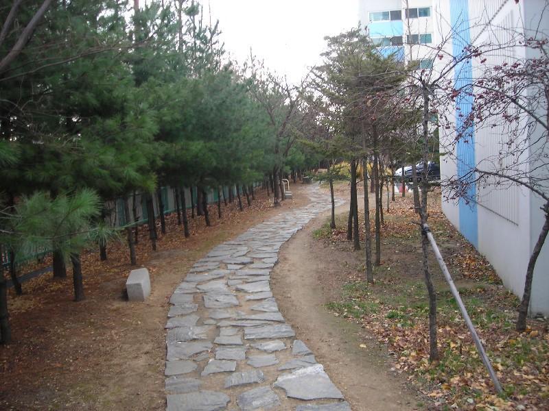 DSCN5471