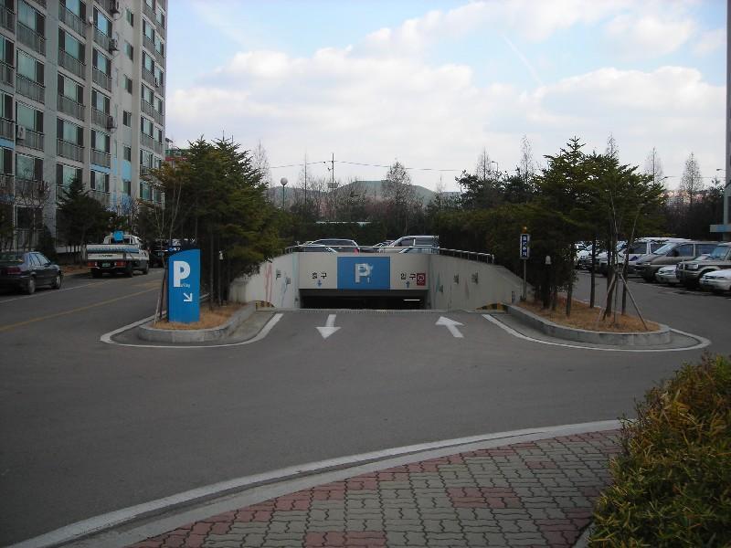 DSCN5462
