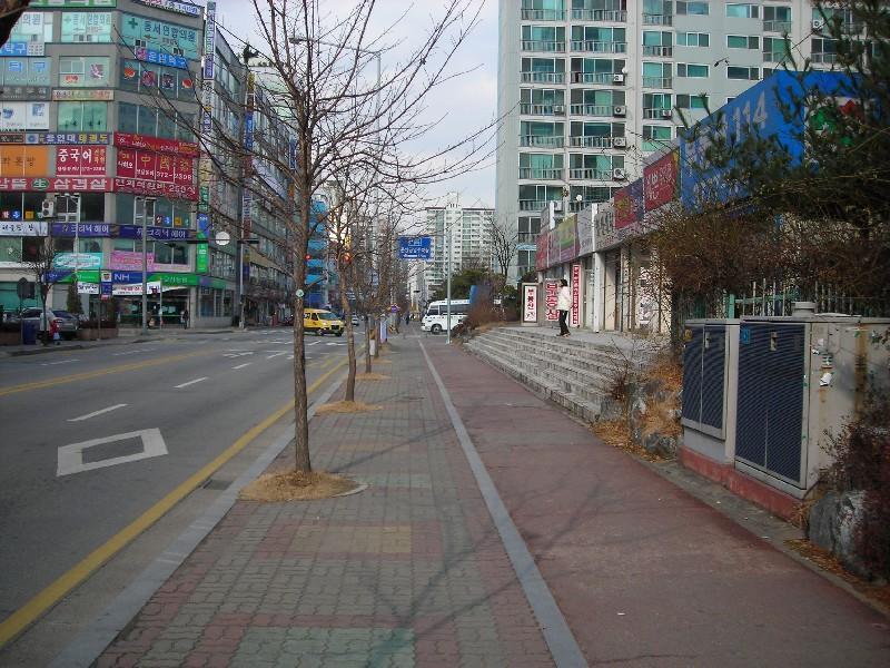 DSCN5456