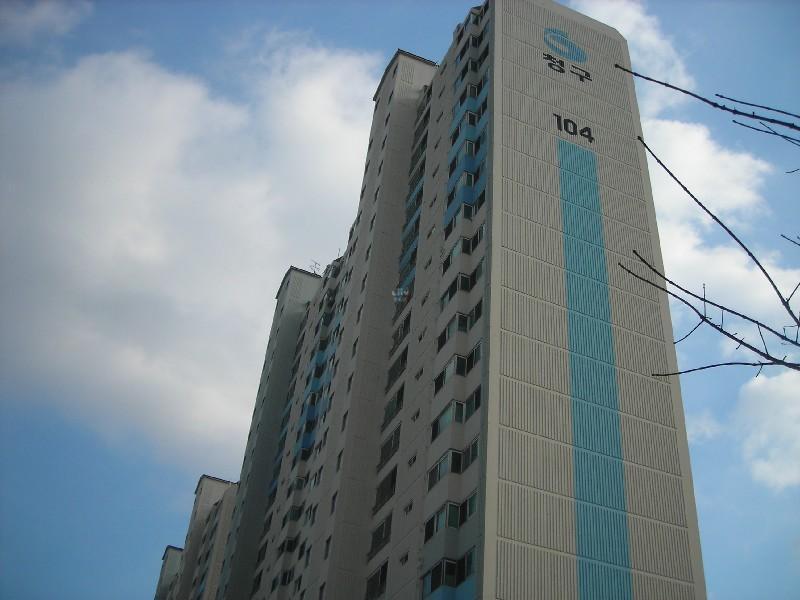 DSCN5454