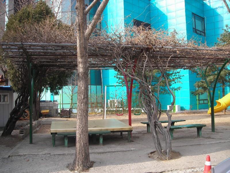DSCN5509