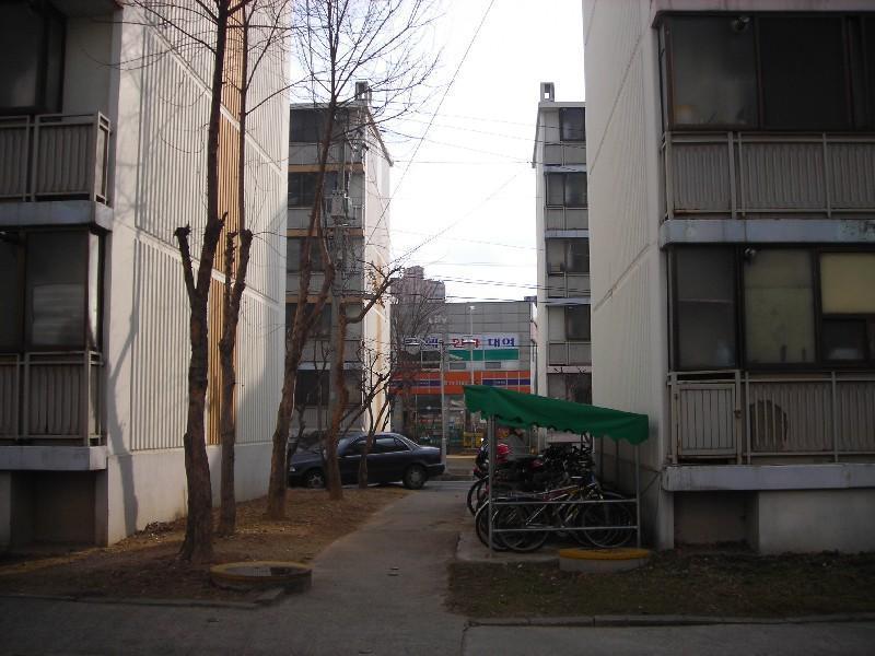 DSCN5517
