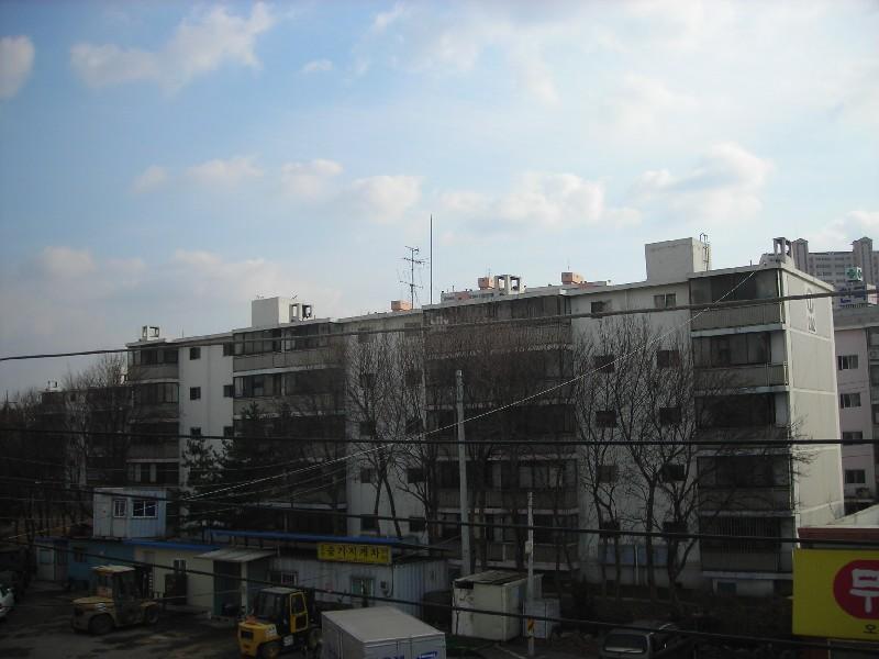 DSCN5503
