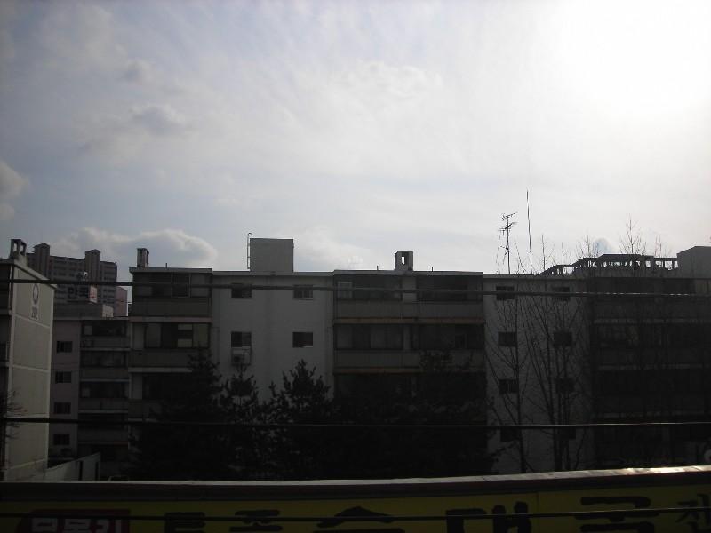 DSCN5504