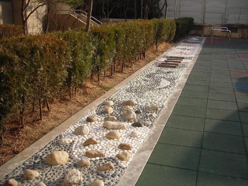 DSCN5632