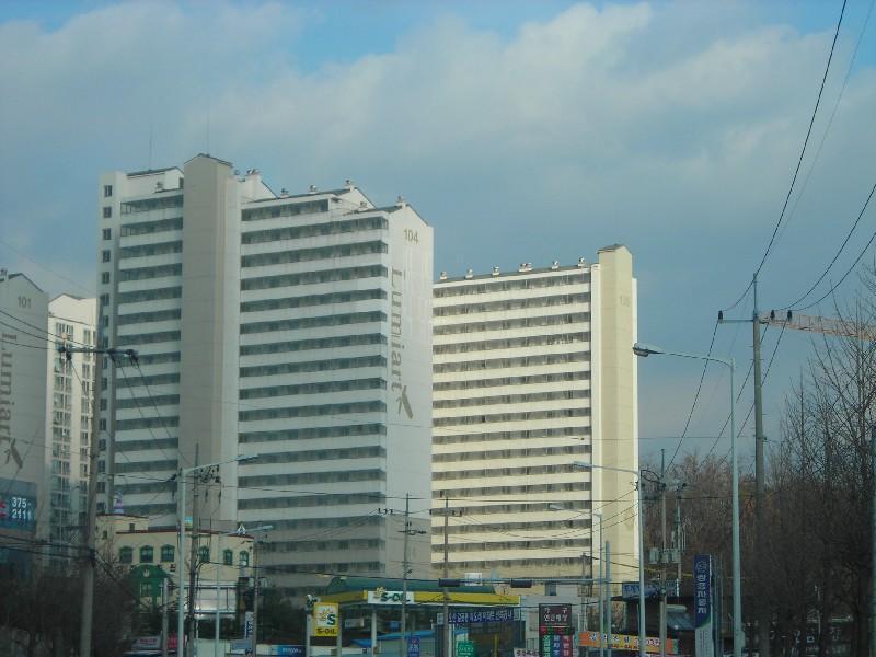 DSCN5613