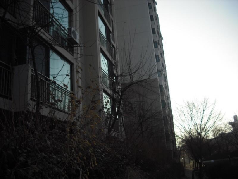 수정_DSCF1194
