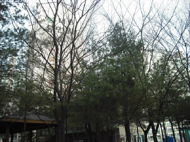 수정_DSCF1665