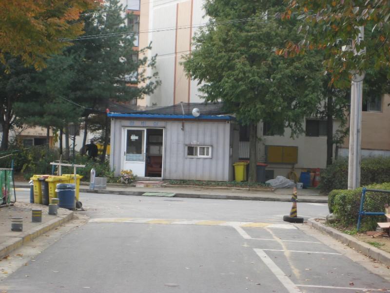 사진 155
