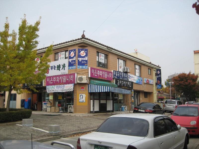 사진 146