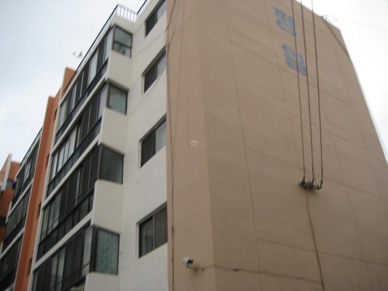 사진 237