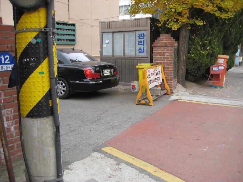 사진 239