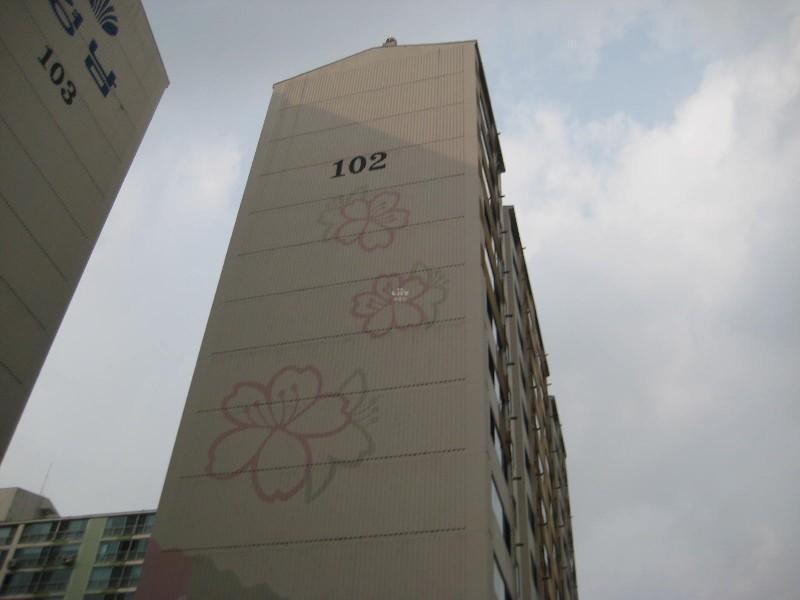 사진 426