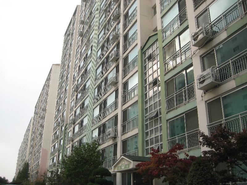 사진 429