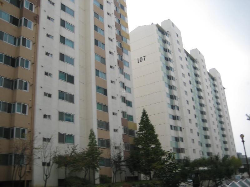 사진 436