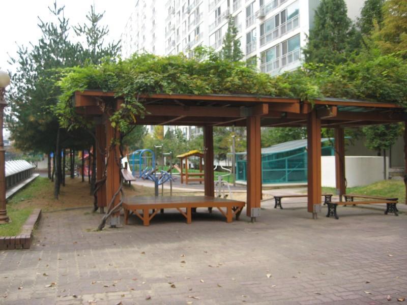 사진 437