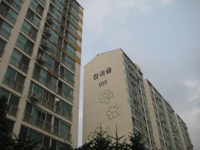 사진 438