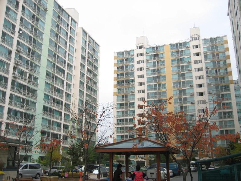 사진 441