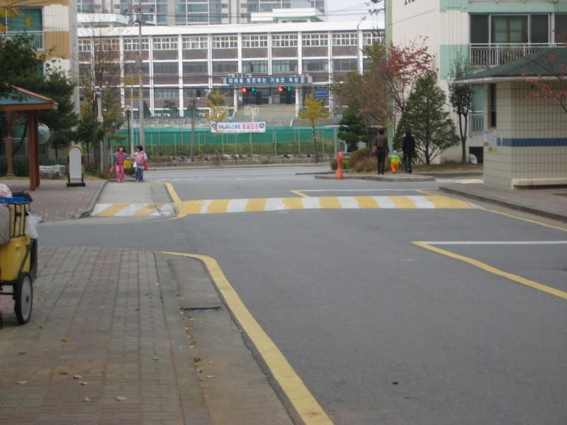 사진 439