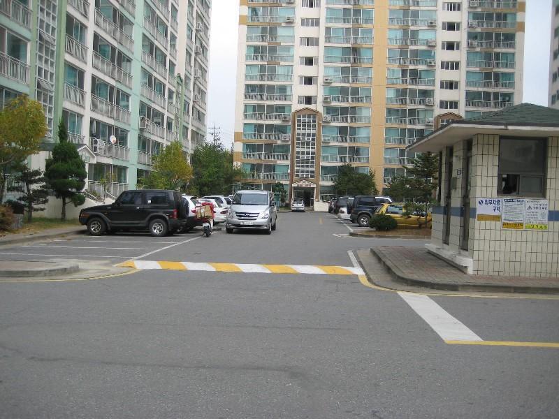 사진 442