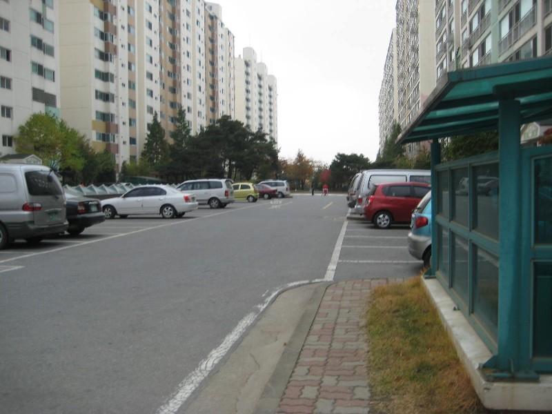 사진 428