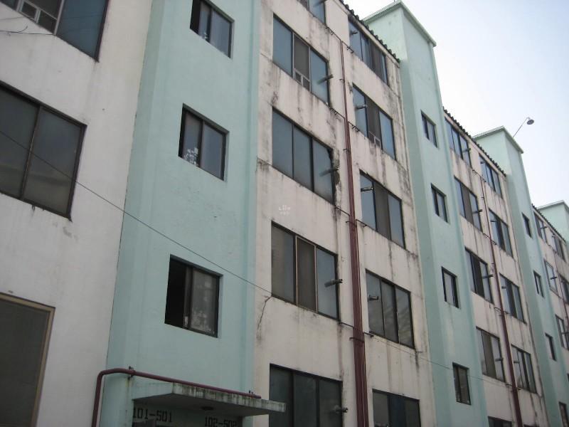 사진 061