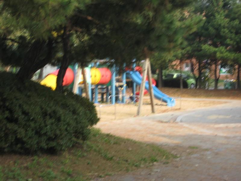 사진 043
