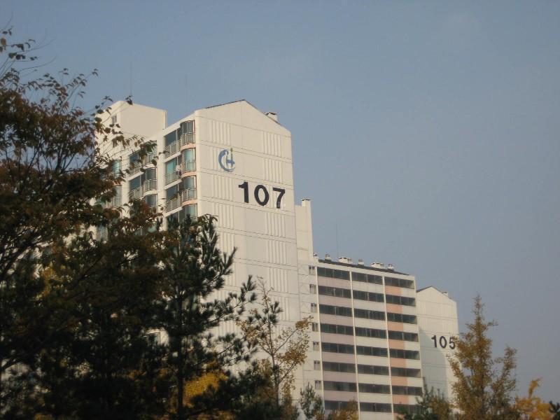 사진 032