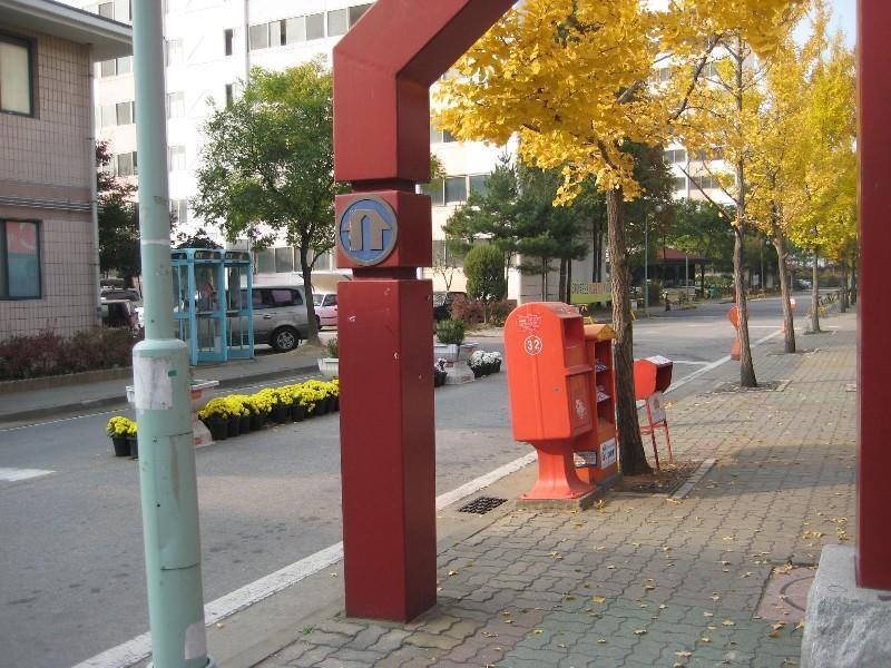 사진 035