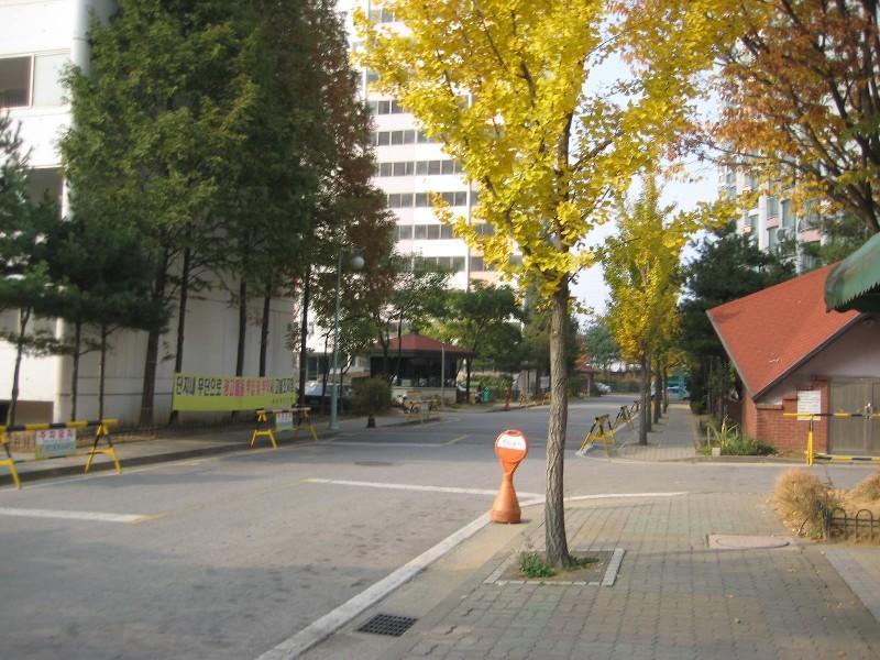사진 037