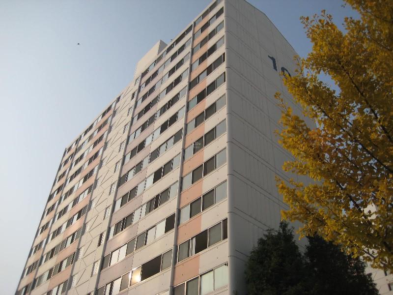 사진 038