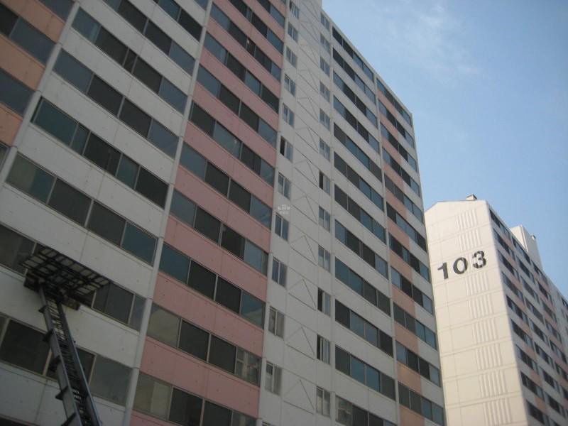 사진 047