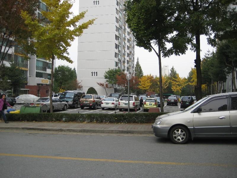 사진 501