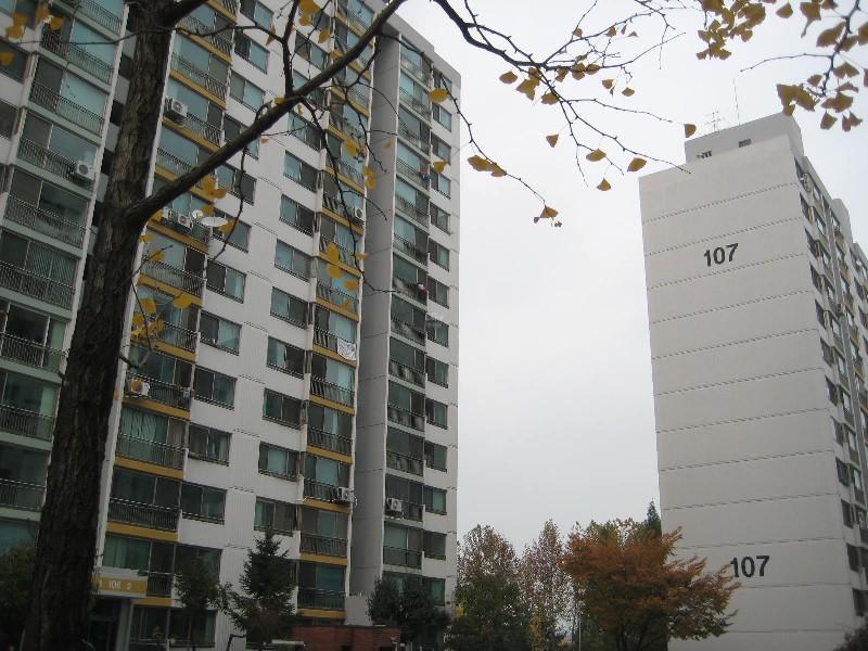 사진 513