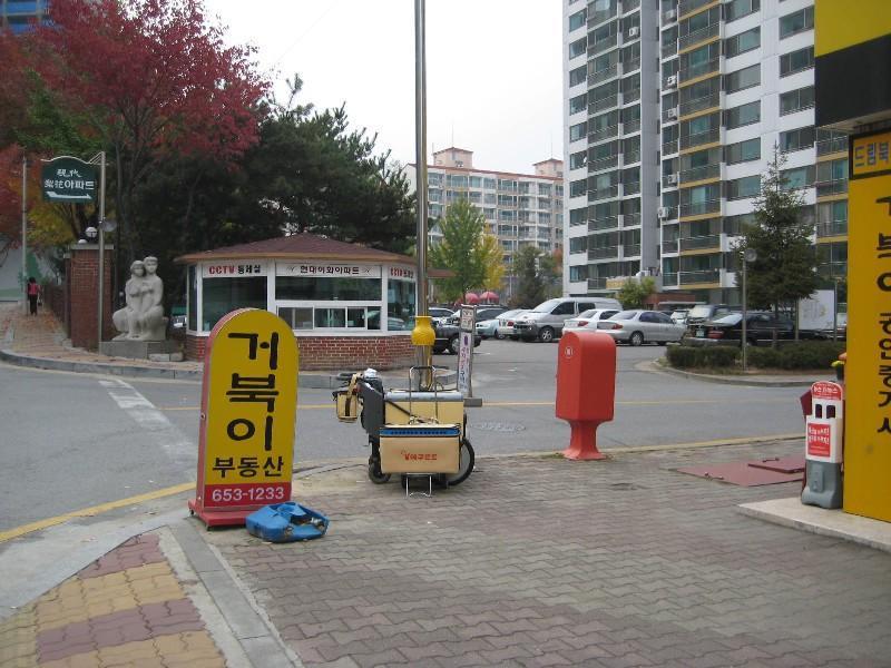 사진 494