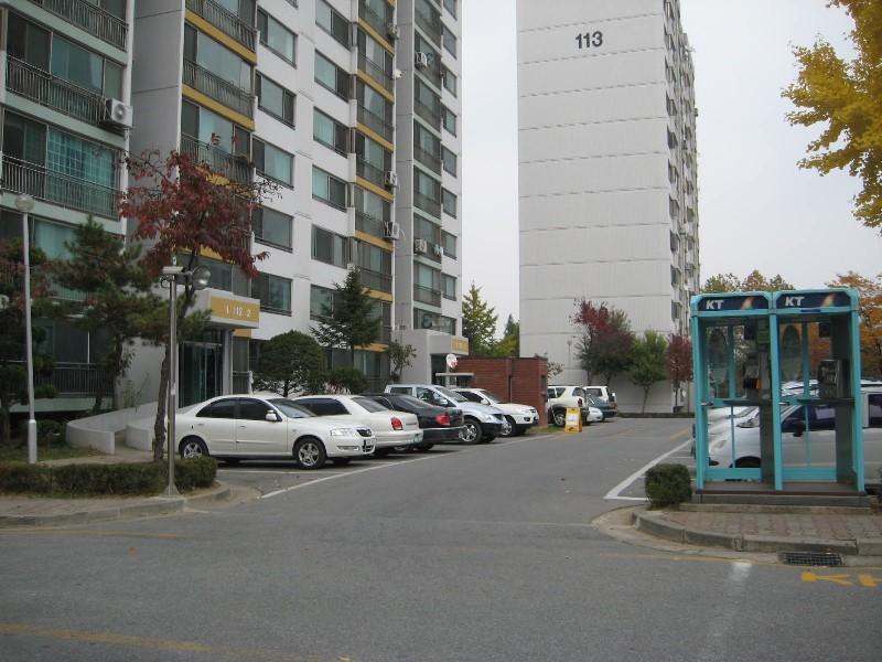 사진 498
