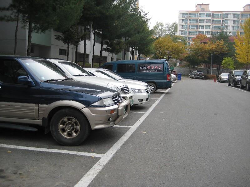 사진 502