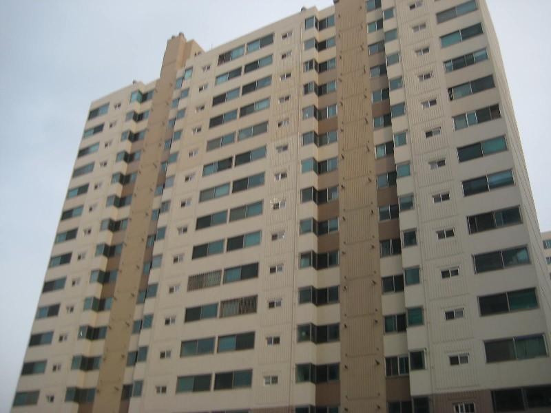 사진 538
