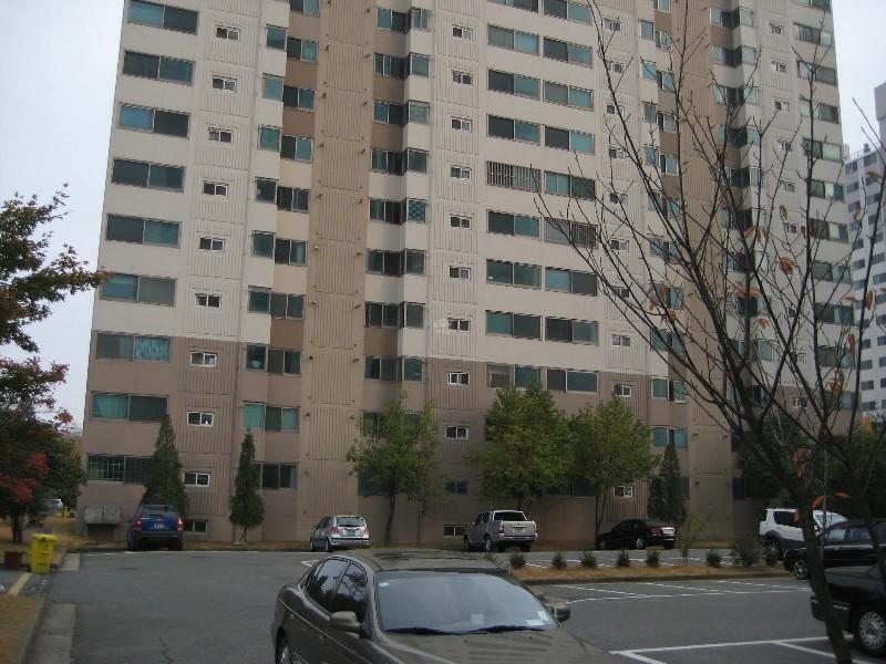 사진 541