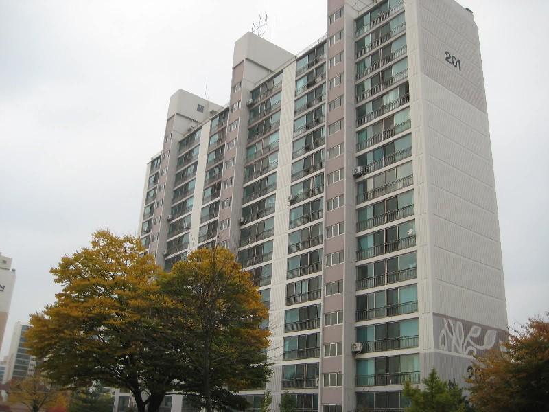 사진 532
