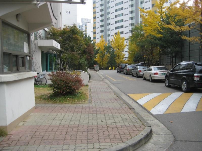 사진 526