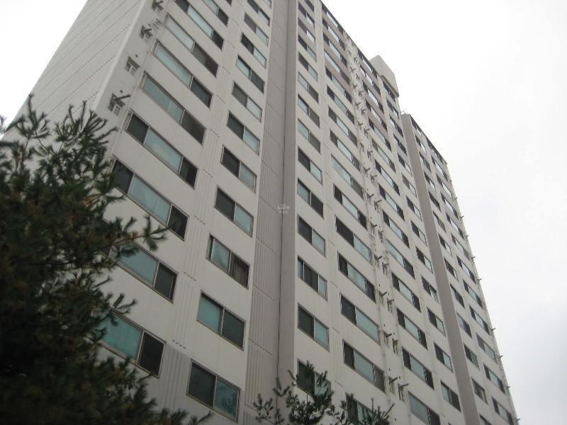 사진 531