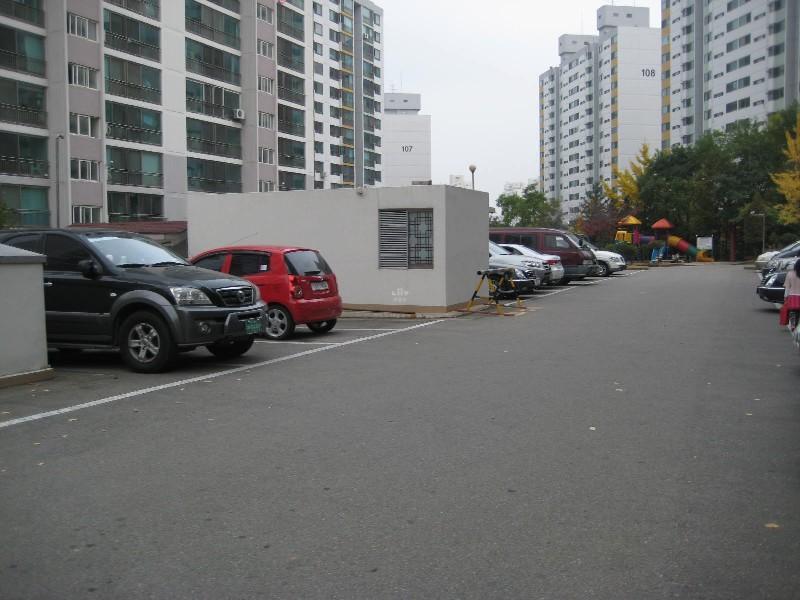 사진 529