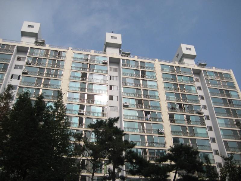 사진 264