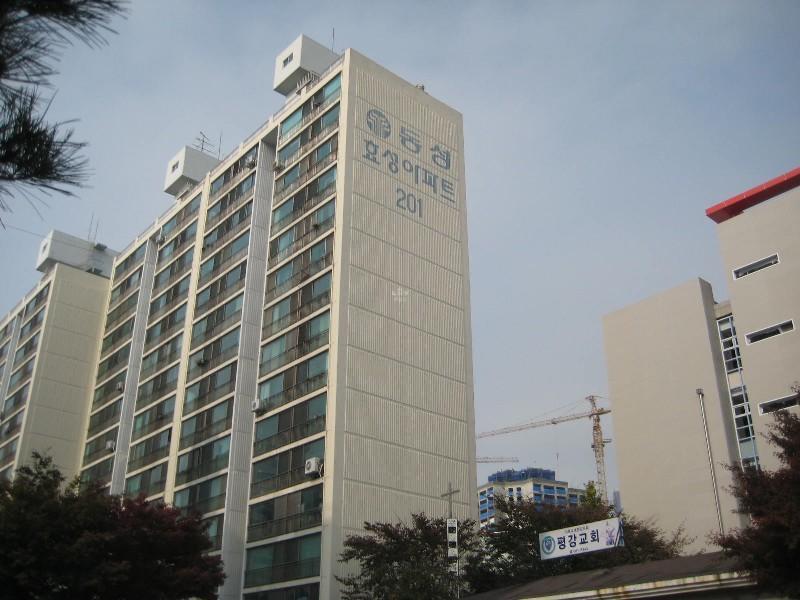 사진 266